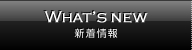 新着情報