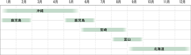 カボチャ
