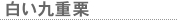 白い九重栗