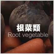 根菜類
