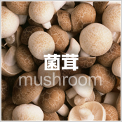 菌茸